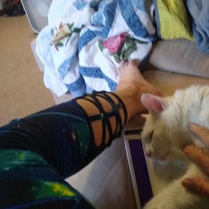 Meet your Posher, Patsy